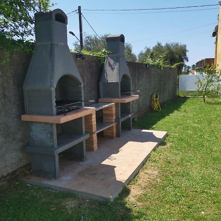 Villa Flora Affittacamere Luni Bagian luar foto