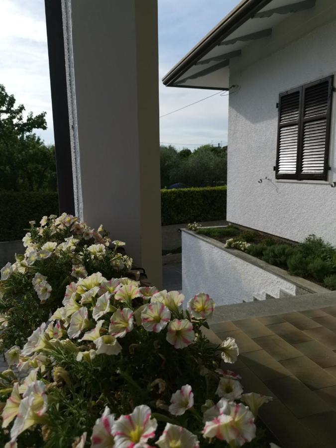 Villa Flora Affittacamere Luni Bagian luar foto